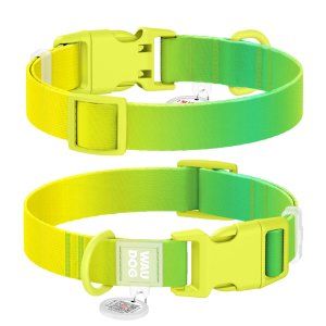 WAUDOG obojek nylon Gradient zeleno-žlutý QR (M/28-40cm/2cm)