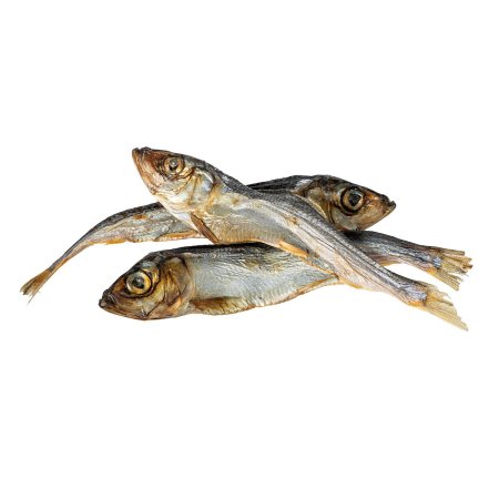 KIDDOG SUPER PREMIUM 100% dried real fish - islandský herinek 14 cm / 100 g