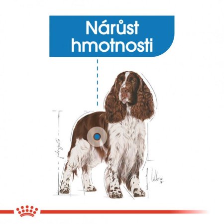 Royal Canin Medium Light Weight Care 3 kg (EXPIRACE 08/2026)
