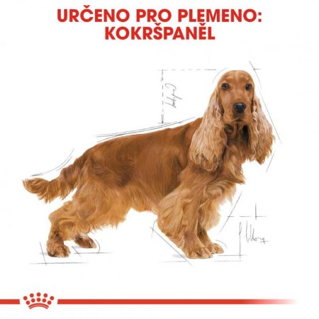 Royal Canin Cocker 3 kg
