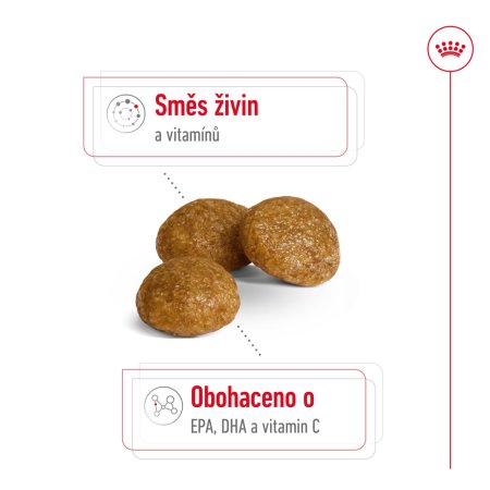 Royal Canin X-Small Adult 8+ 1,5 kg