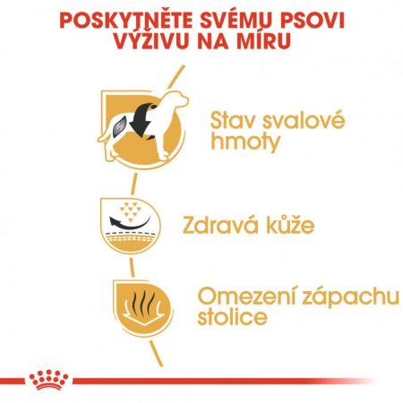Royal Canin Francouzský Buldoček 3 kg