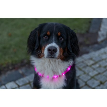 USB svítící obojek PLOCHÝ, růžový
