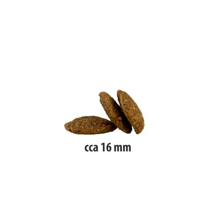 Happy Dog Senior 1 kg (EXPIRACE 04/2026)