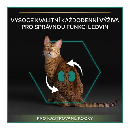 Pro Plan Cat Adult Sterilised Renal Plus losos 10 kg (EXPIRACE 08/2026)