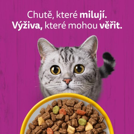 Whiskas granule s kuřecím 300 g