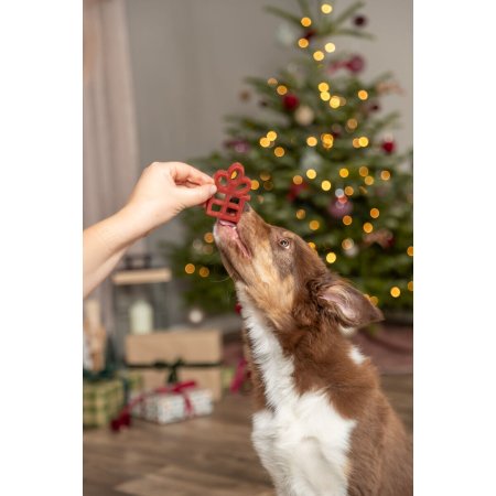 Xmas Gift, vánoční pamlsek dáreček s kuřecími prsy [90], 31 g