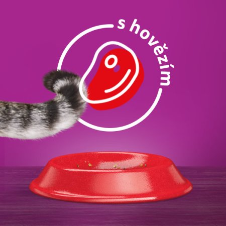 WHISKAS granule s hovězím masem 14 kg