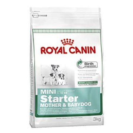 Royal Canin Mini Starter Mother & Babydog 1 kg