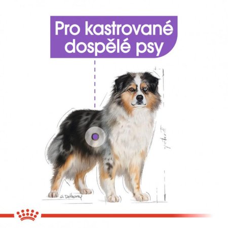 Royal Canin Medium Sterilised 3 kg