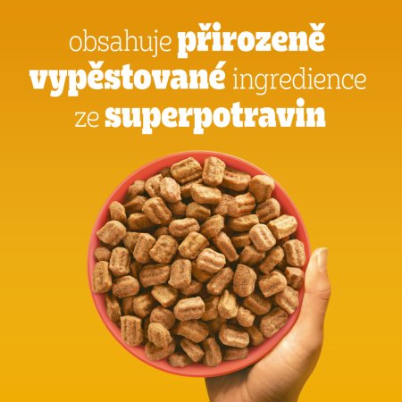 Pedigree granule M/L Adult hovězí se zeleninou 12 kg (POŠKOZENÝ OBAL)