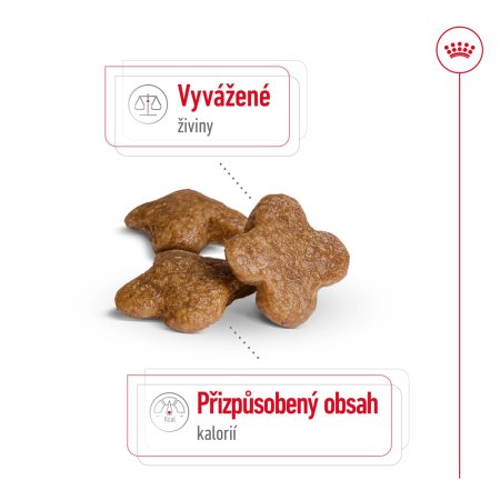 Royal Canin Mini Adult 8+ 800 g