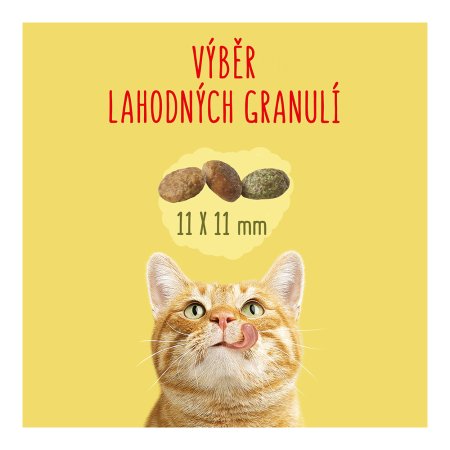 Friskies Indoor Cats s kuřetem a zeleninou 10 kg