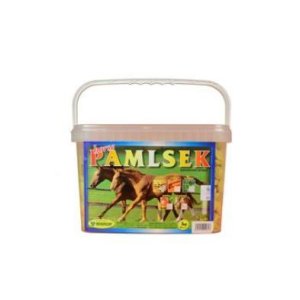 Mikrop pochoutka pro koně kyblík Mrkev 2,5kg