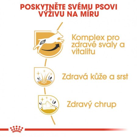 Royal Canin Jack Russel 3 kg