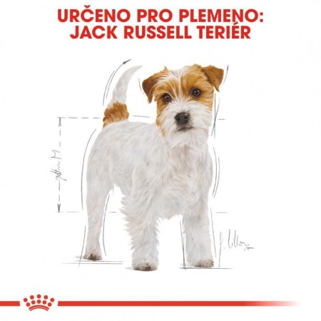 Royal Canin Jack Russel 3 kg