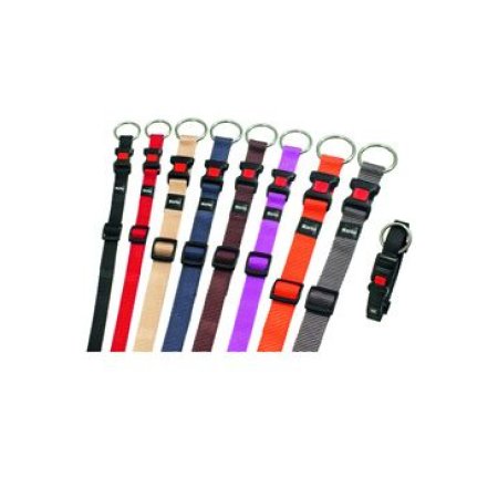 Obojek ASP šedý velikost M 40-55cm 20mm