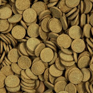 Sera Sterlet Chips 3,8 l / 1,7 kg