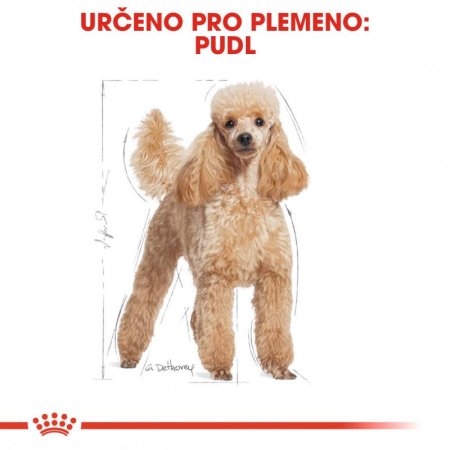 Royal Canin Pudl 7,5 kg