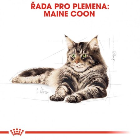 Royal Canin Maine Coon 400 g