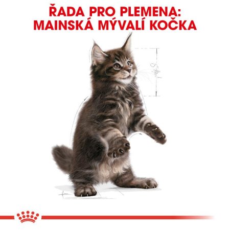 Royal Canin Kitten Maine Coon 400 g
