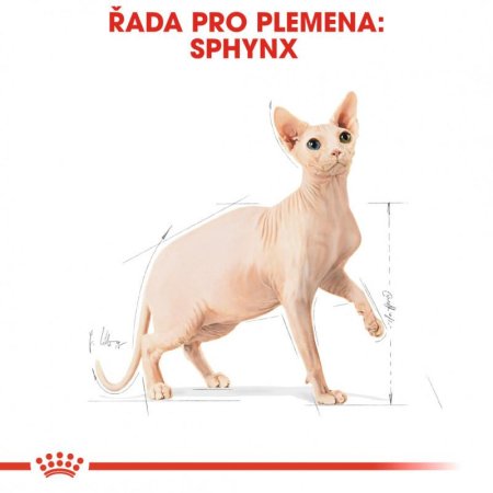 Royal Canin Sphynx 10 kg