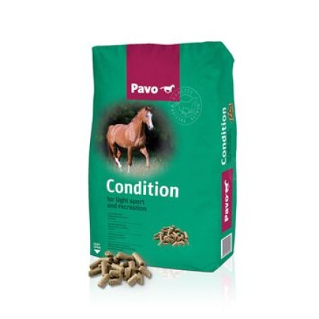 PAVO gra Condition eXtra 20kg