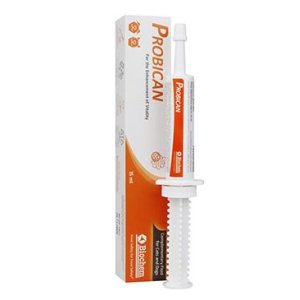 Probican pasta 15ml