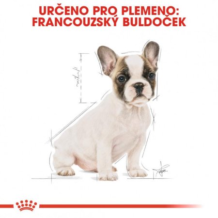 Royal Canin Francouzský Buldoček Puppy 3 kg