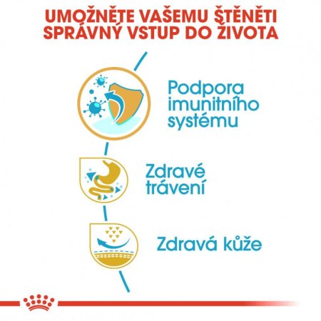 Royal Canin Francouzský Buldoček Puppy 3 kg