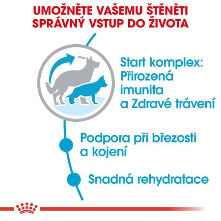 Royal Canin Maxi Starter 4 kg