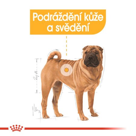 Royal Canin Medium Dermacomfort 3 kg