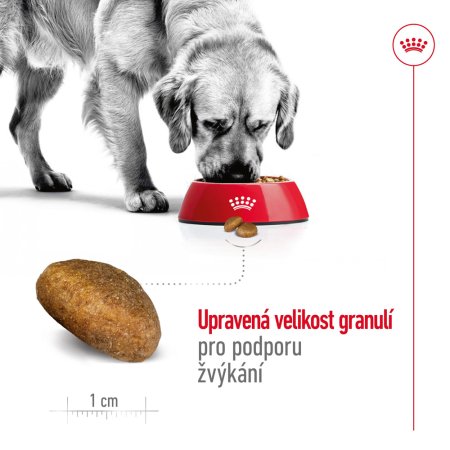 Royal Canin Maxi Adult 4 kg