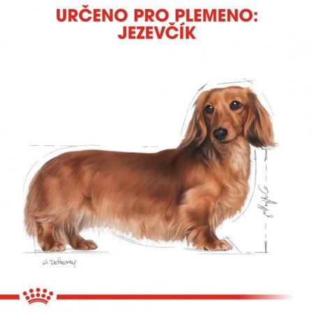 Royal Canin Jezevčík 500 g