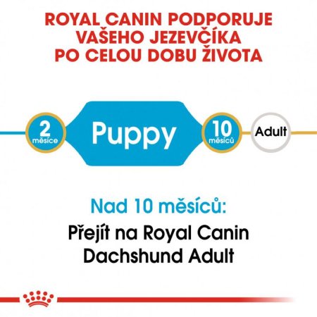 Royal Canin Jezevčík Puppy 1,5 kg