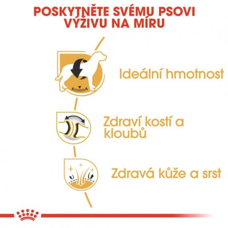 Royal Canin Labrador Retrívr Adult 3 kg