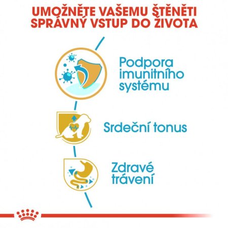 Royal Canin Cavalier King Charles Junior 1,5 kg