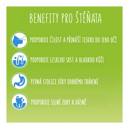 Friskies Junior s kuřetem, mlékem a zeleninou 15 kg