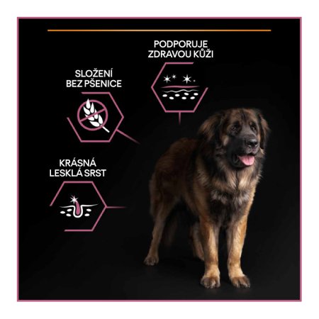 Pro Plan Large Adult Robust losos 14 kg