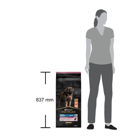 Pro Plan Large Adult Robust losos 14 kg