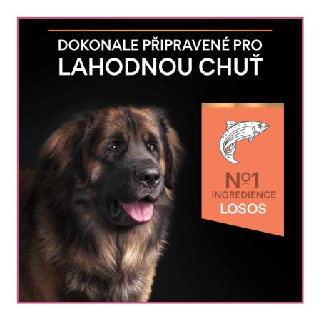 Pro Plan Large Adult Robust losos 14 kg