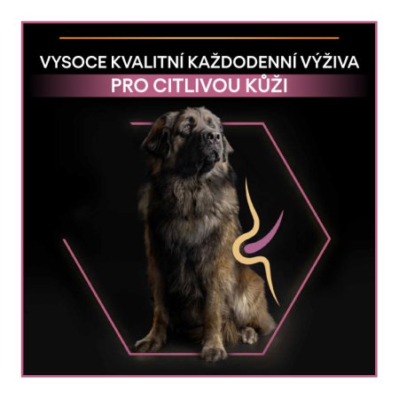 Pro Plan Large Adult Robust losos 14 kg