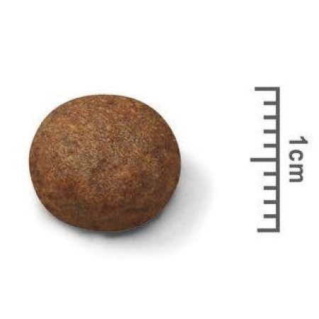 Royal Canin Medium Puppy 4 kg