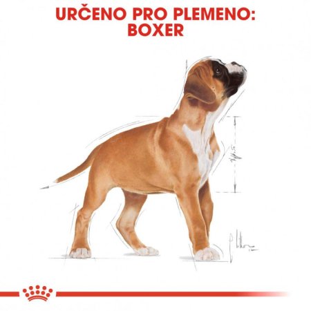 Royal Canin Boxer Puppy 12 kg