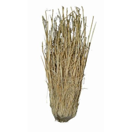 Lucky Reptile Grass Bushes 25-40 cm