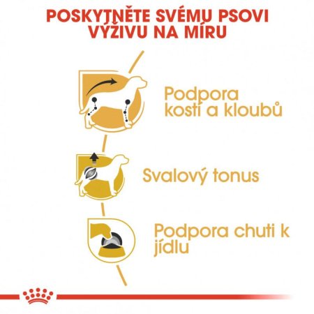 Royal Canin Dachshund kapsičky 12 x 85 g