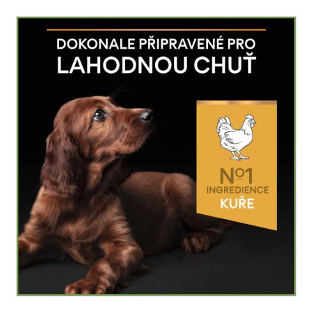 PRO PLAN Small & Mini Puppy Healthy Start granule pro štěňata kuře 700 g