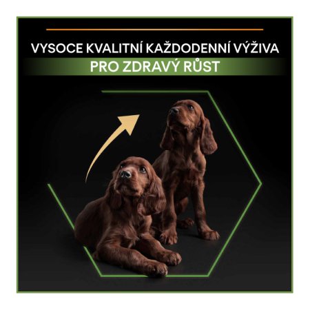 PRO PLAN Small & Mini Puppy Healthy Start granule pro štěňata kuře 700 g