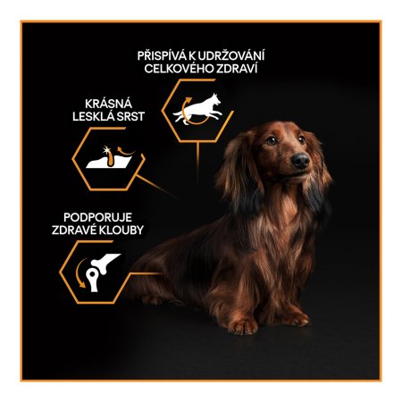 Pro Plan Small & Mini Adult Optibalance kuře 14 kg