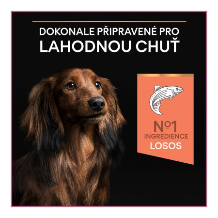 PRO PLAN Small & Mini Adult Sensitive Skin granule pro psy losos 7 kg